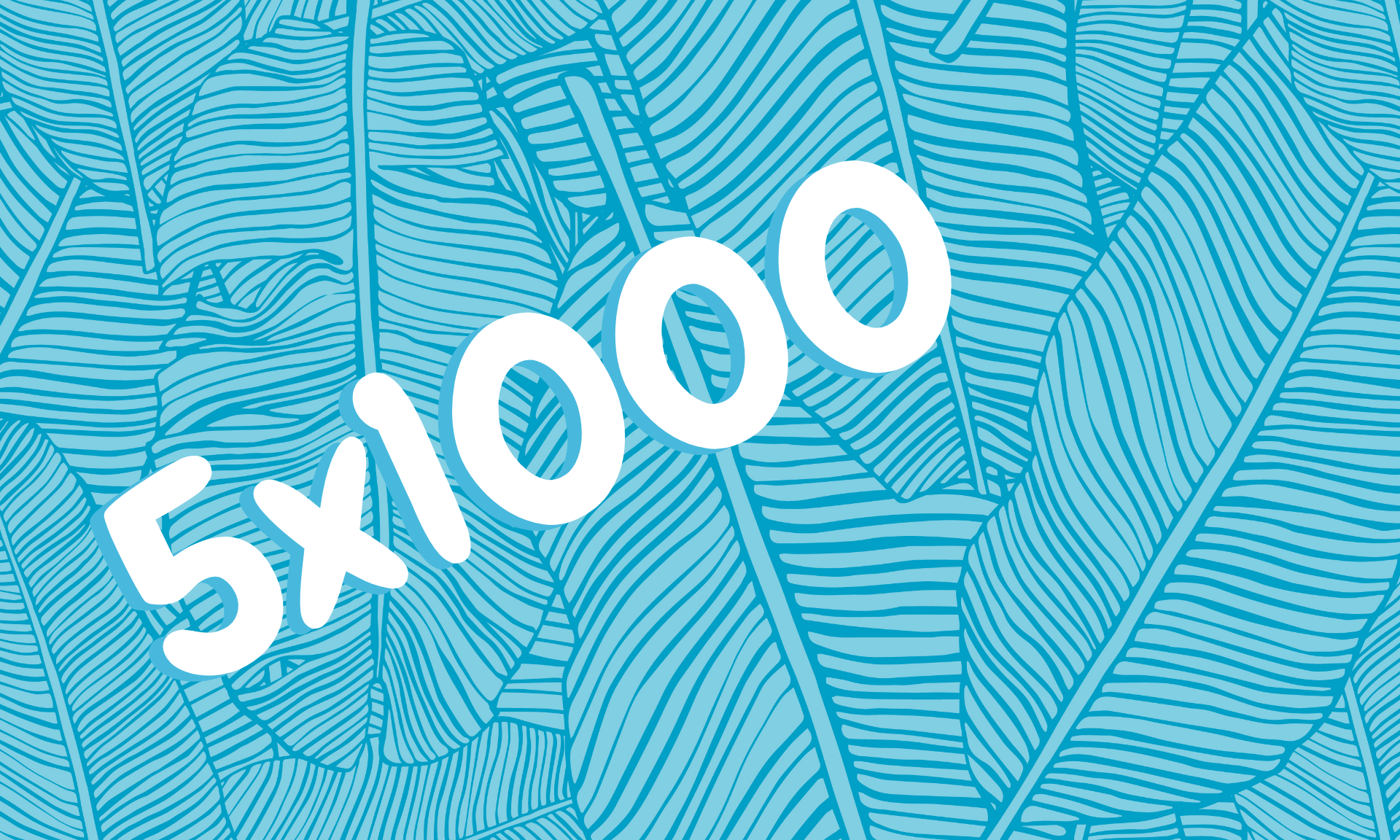 cropped-5x1000-1.png