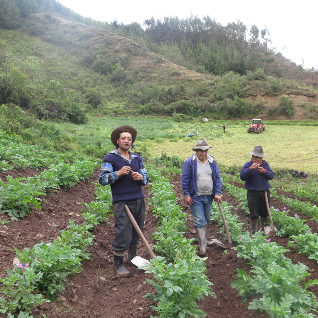 Progetto Perù Latte fonte di vita