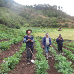 Progetto Perù Latte fonte di vita