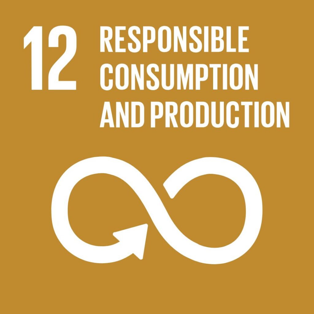 Logo SDG 12