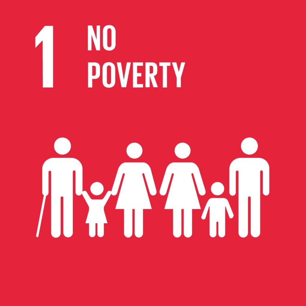 Logo SDG 1