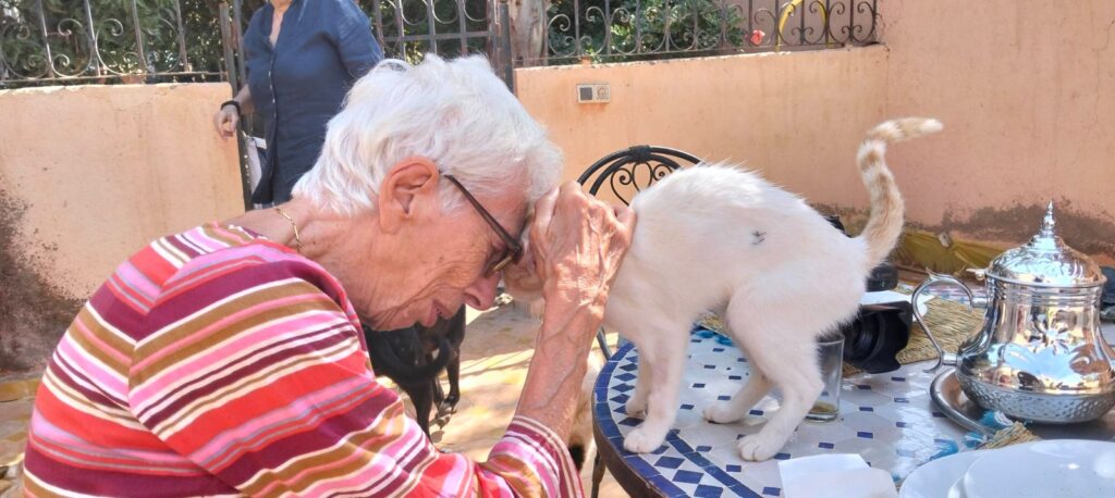 Esseri-non-umani-vicepresidente-ubi-2