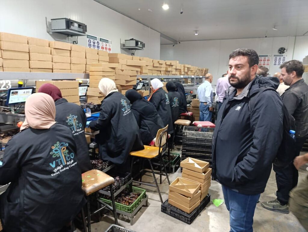 Palestina-campagna-natale-25